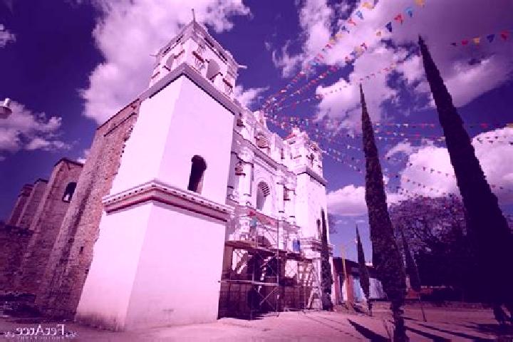 Escorts San Martin Tilcajete, Mexico — Local Companions