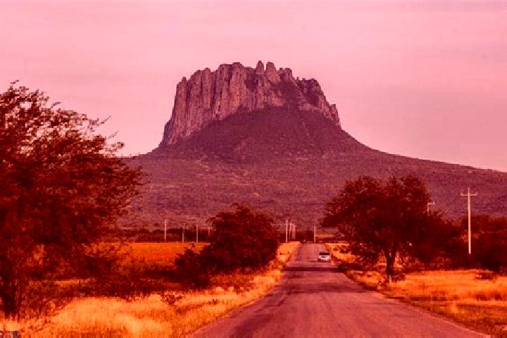 Escorts San Miguel de Horcasitas, Mexico — Local Companions