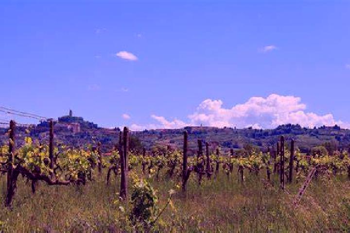Escorts San Miniato Basso, Italy — Local Companions