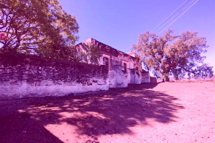 Escorts San Pedro Guasave, Mexico — Local Companions