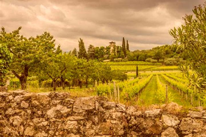 Escorts San Pietro in Cariano, Italy — Local Companions