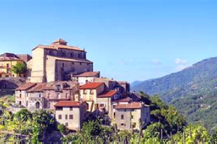 Escorts San Pietro in Guarano, Italy — Local Companions