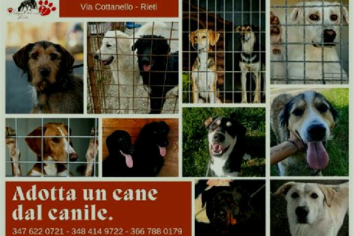 Escorts San Secondo Parmense, Italy — Local Companions