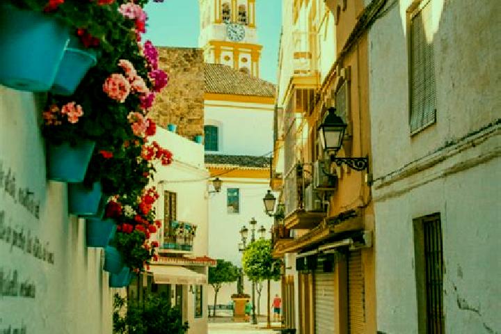 Escorts Sangueesa/Zangoza, Spain — Local Companions