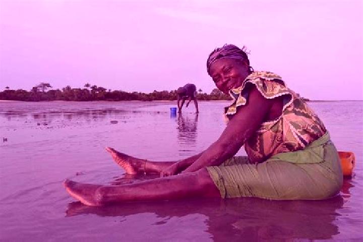 Escorts Sankwia, Gambia — Local Companions