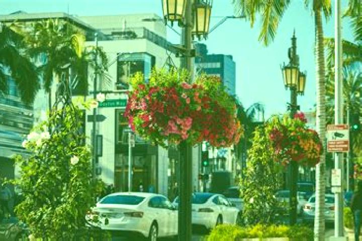 Escorts Santa Ana Viejo, Mexico — Local Companions