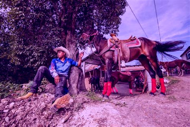Escorts Santa Catarina Ixtepeji, Mexico — Local Companions
