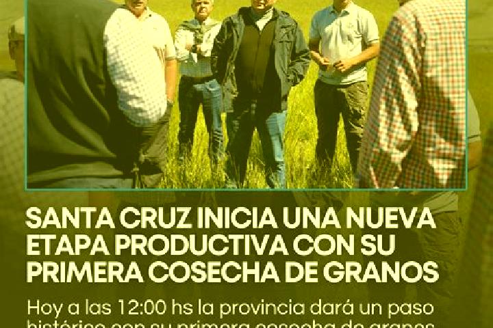 Escorts Santa Cruz Acapa, Mexico — Local Companions