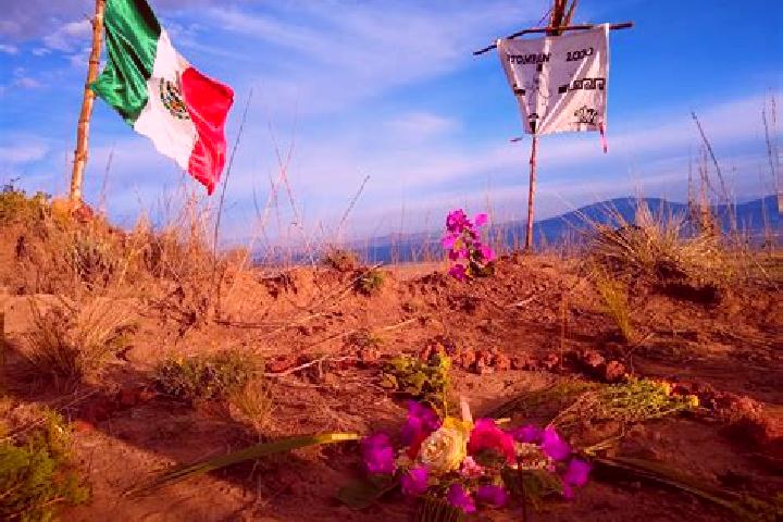 Escorts Santa Maria Actipac, Mexico — Local Companions