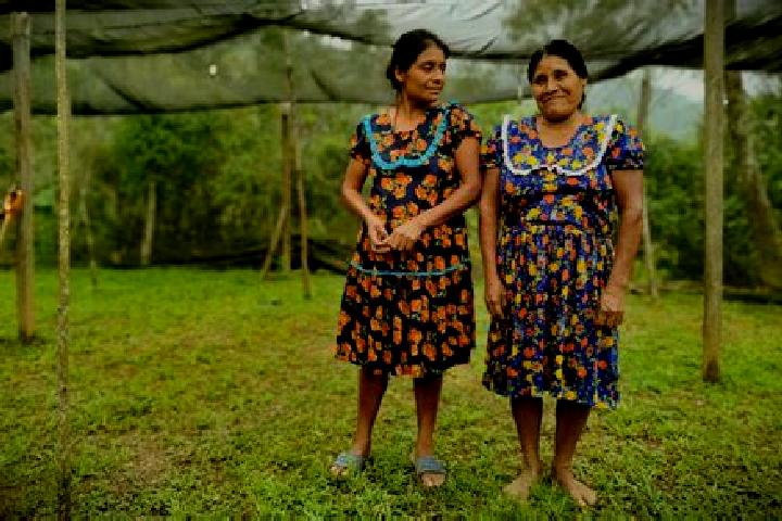 Escorts Santa Maria Lovani, Mexico — Local Companions
