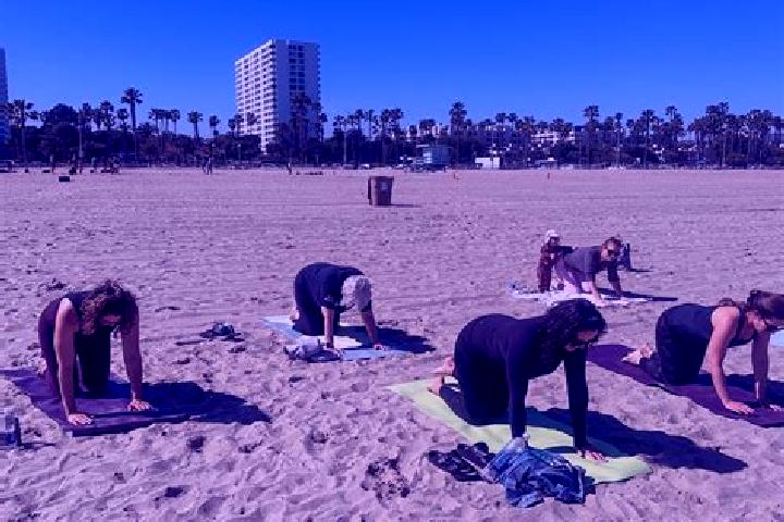 Escorts Santa Monica, United States — Local Companions