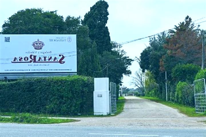 Escorts Santa Rosa, Uruguay — Local Companions
