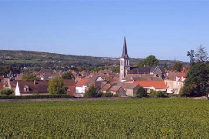 Escorts Santenay, France — Local Companions