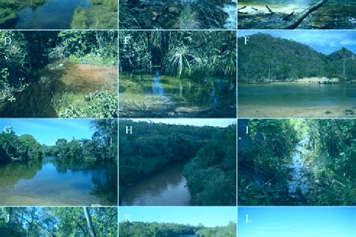 Escorts Sao Felix do Tocantins, Brazil — Local Companions