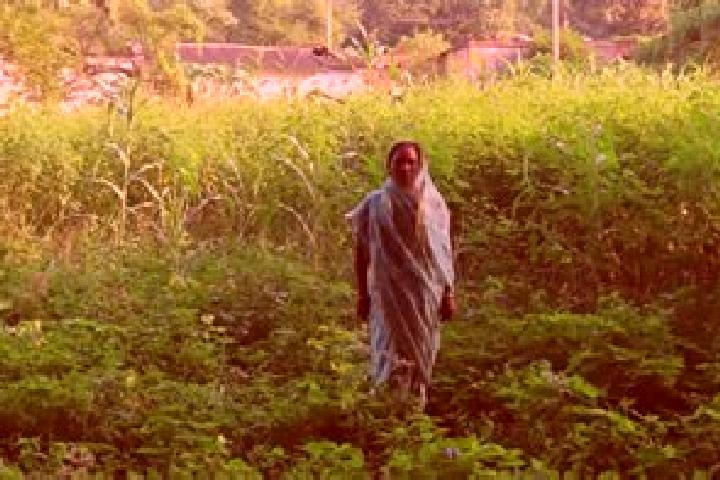 Escorts Saraikela, India — Local Companions