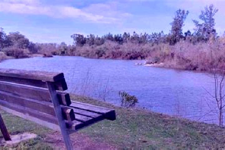 Escorts Sarandi del Yi, Uruguay — Local Companions