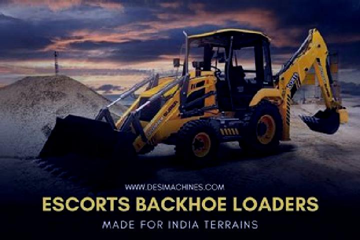 Escorts Sarangpore, India — Local Companions