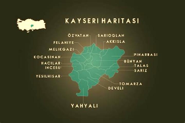 Escorts Sariz, Turkey — Local Companions