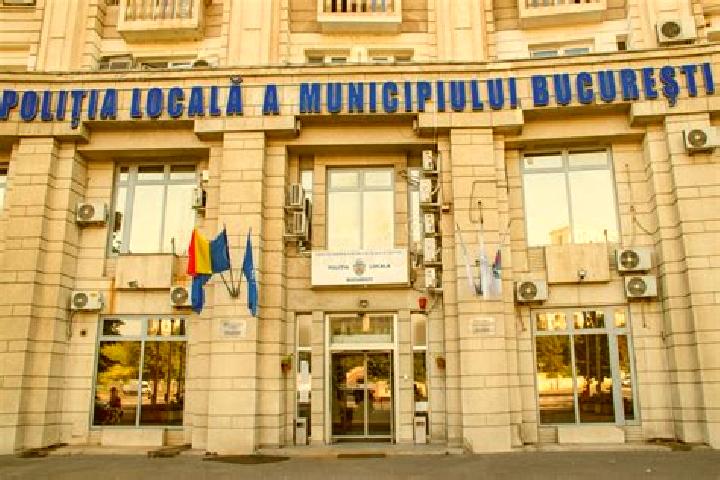 Escorts Sarmasel, Romania — Local Companions
