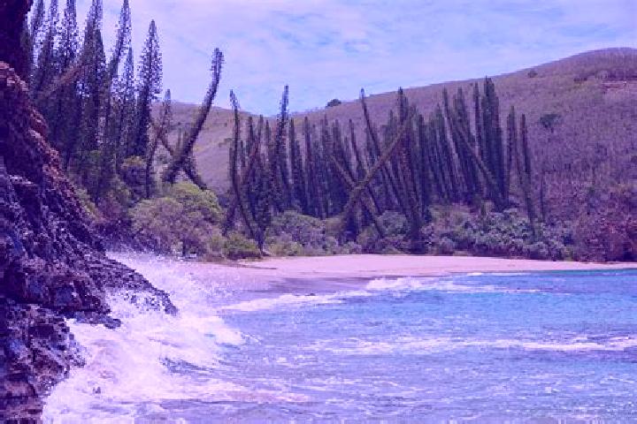 Escorts Sarramea, New Caledonia — Local Companions