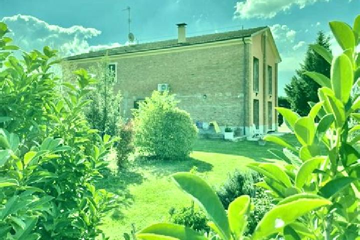 Escorts Sasso Morelli, Italy — Local Companions