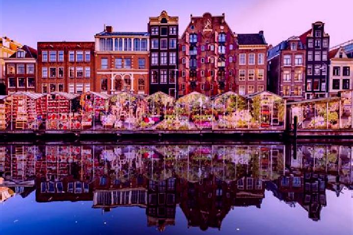 Escorts Sauwerd, Netherlands — Local Companions