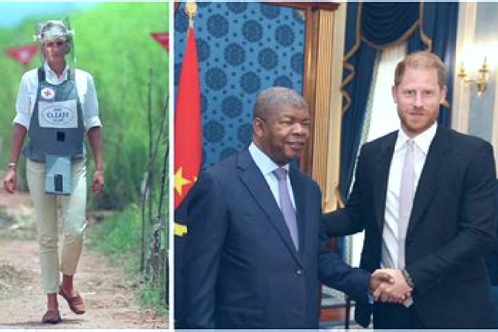Escorts Savate, Angola — Local Companions