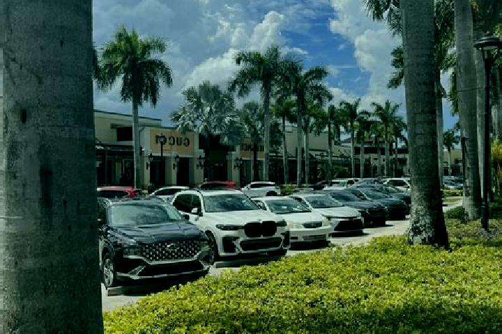 Escorts Sawgrass, United States — Local Companions