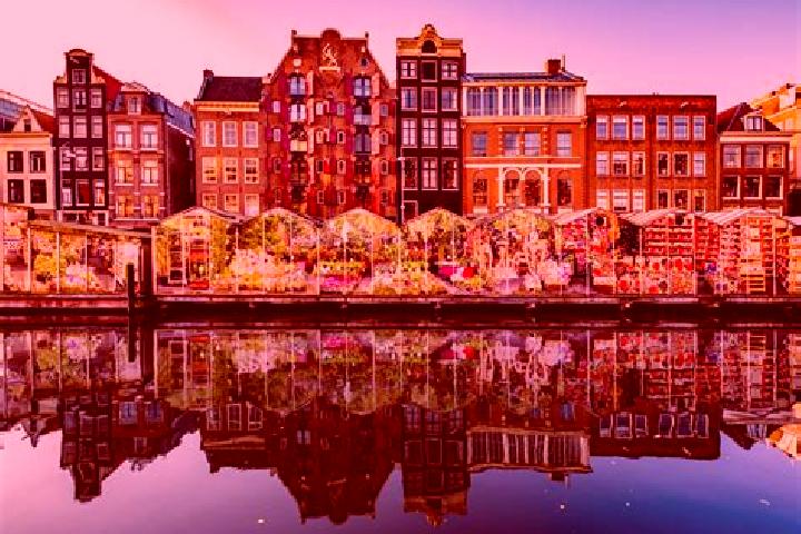 Escorts Schalkhaar, Netherlands — Local Companions
