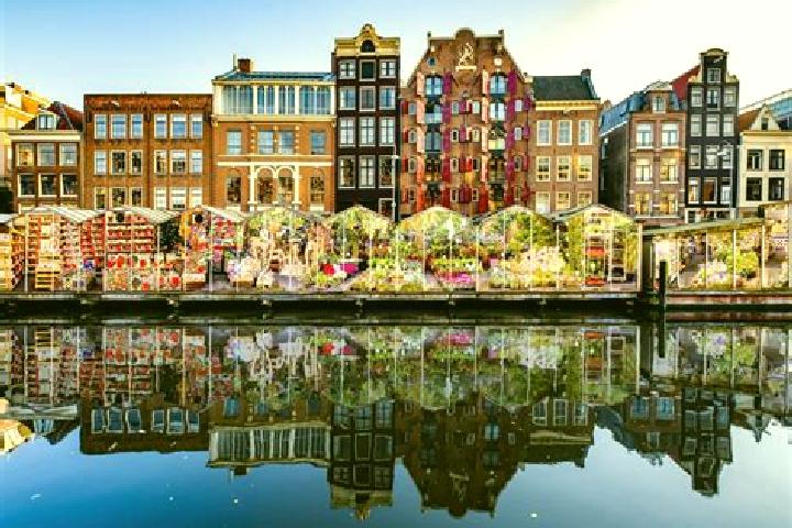 Escorts Scharendijke, Netherlands — Local Companions