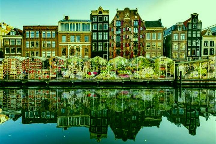Escorts Scharnegoutum, Netherlands — Local Companions
