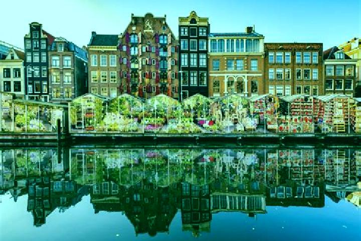 Escorts Schermerhorn, Netherlands — Local Companions