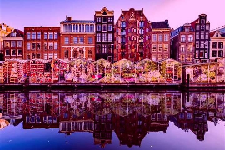 Escorts Schijf, Netherlands — Local Companions