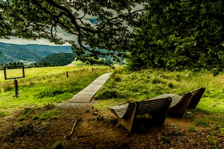Escorts Schoenau im Schwarzwald, Germany — Local Companions