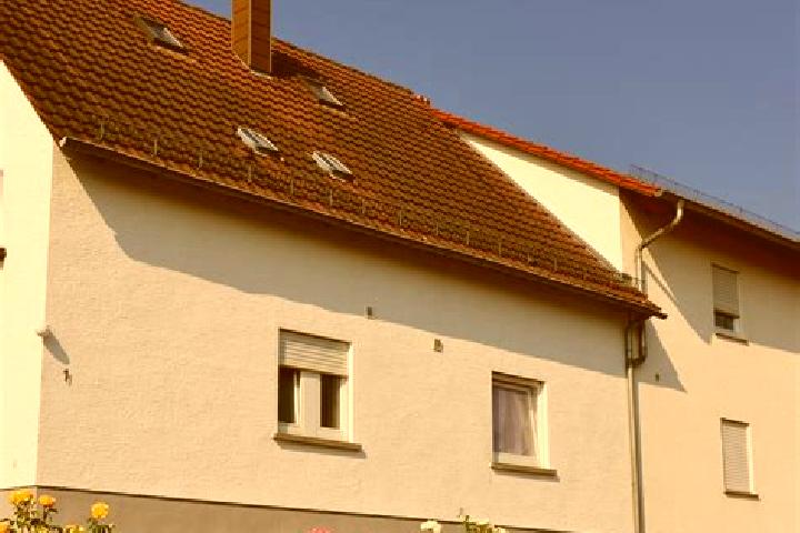 Escorts Schweigen-Rechtenbach, Germany — Local Companions