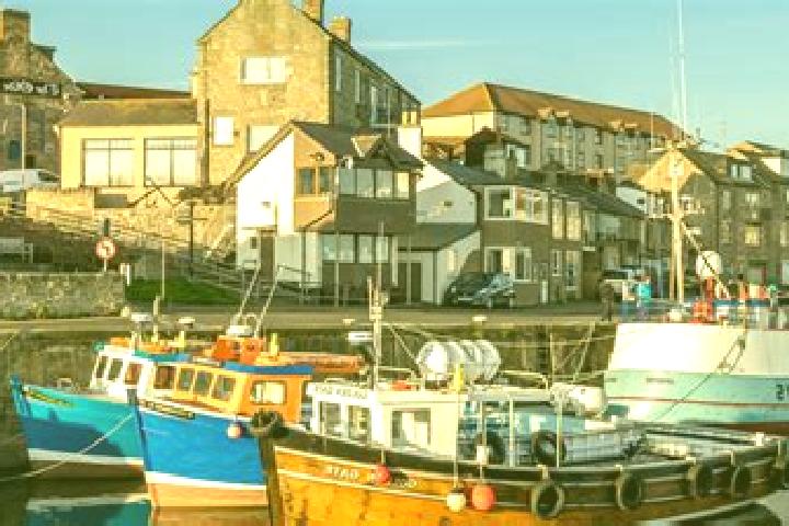 Escorts Seahouses, United Kingdom — Local Companions