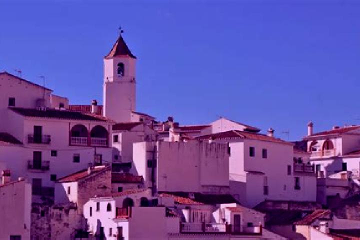 Escorts Sedella, Spain — Local Companions