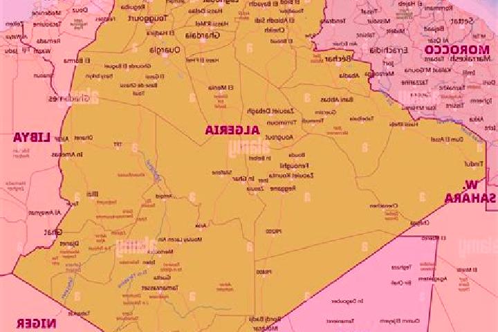 Escorts Sedrata, Algeria — Local Companions