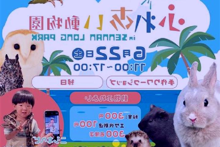 Escorts Sennan, Japan — Local Companions