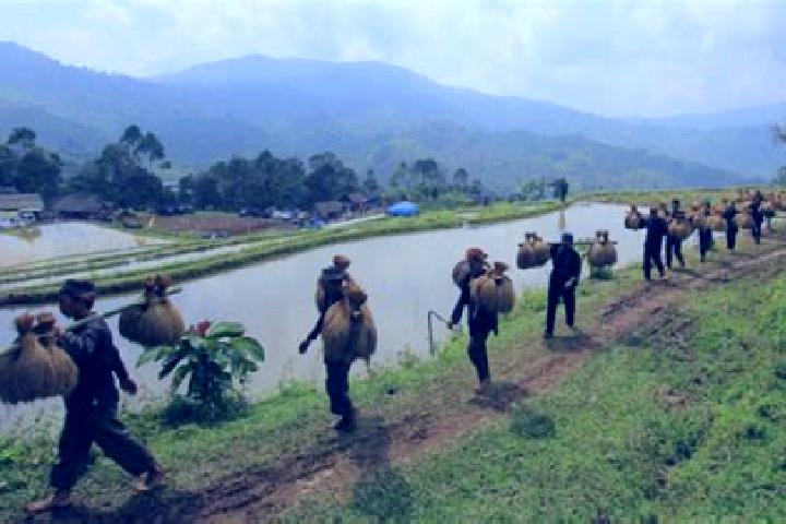Escorts Seren Barat, Indonesia — Local Companions