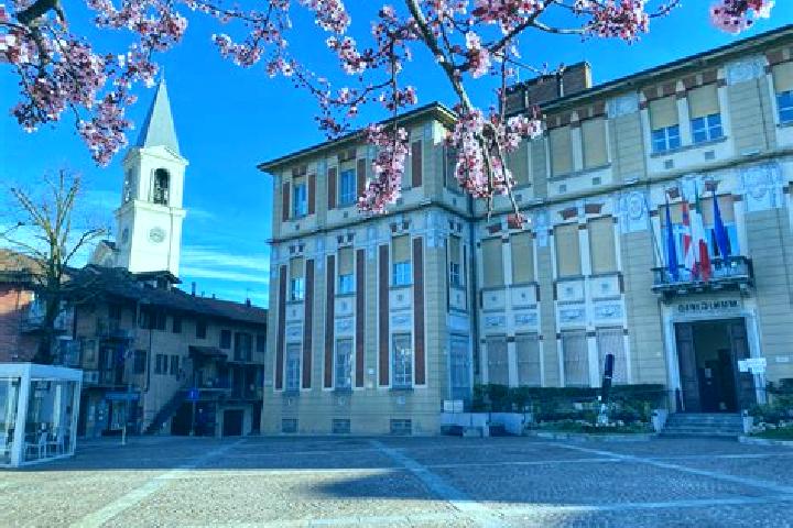 Escorts Settimo Torinese, Italy — Local Companions