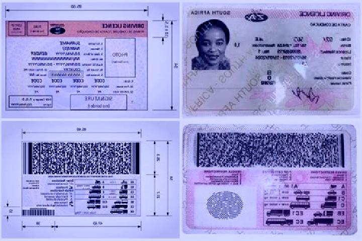 Escorts Seville B, South Africa — Local Companions