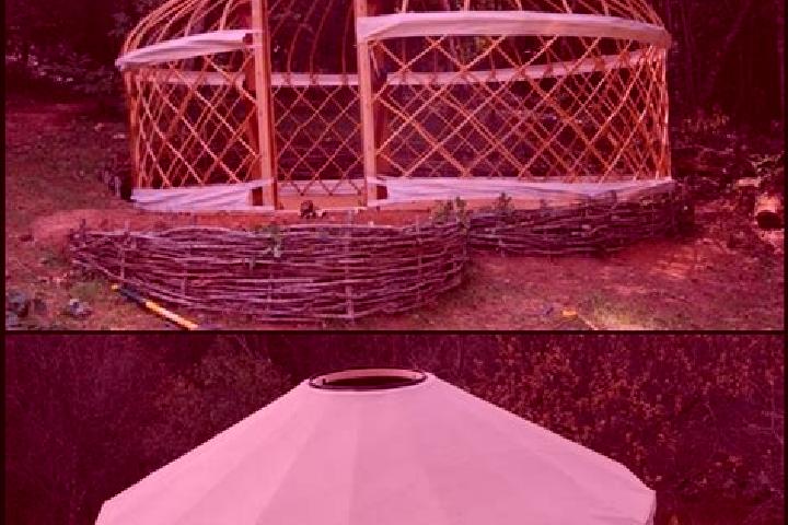 Escorts Shaami-Yurt, Russia — Local Companions