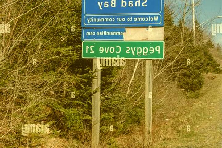 Escorts Shad Bay, Canada — Local Companions