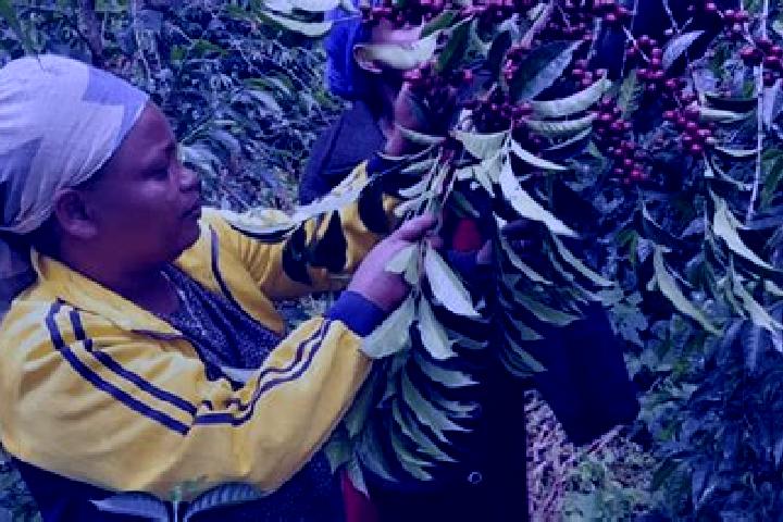 Escorts Shakiso, Ethiopia — Local Companions