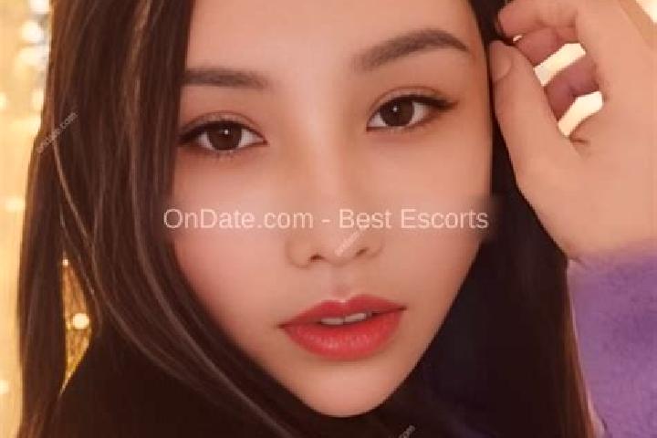 Escorts Shangyanzhuang, China — Local Companions