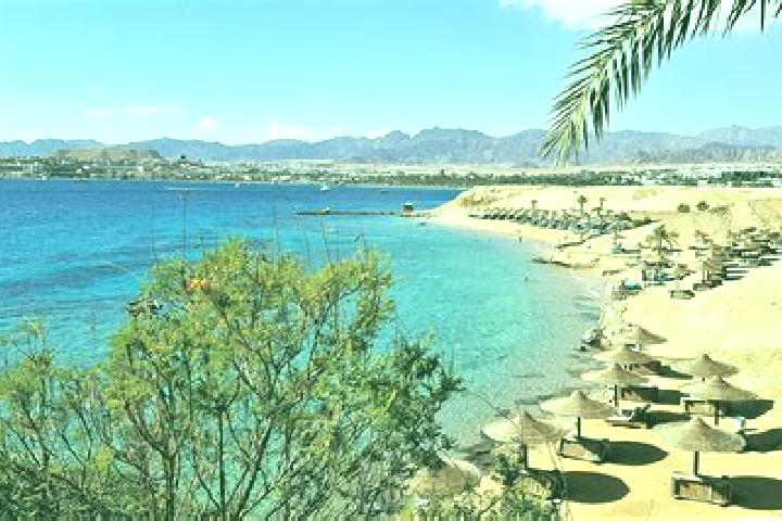 Escorts Sharm el-Sheikh, Egypt — Local Companions