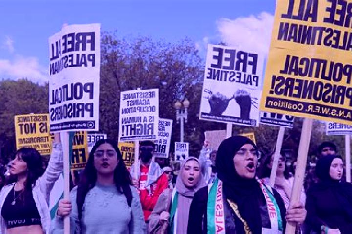Escorts Shave Shomeron, Palestine — Local Companions