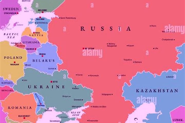 Escorts Sheksna, Russia — Local Companions