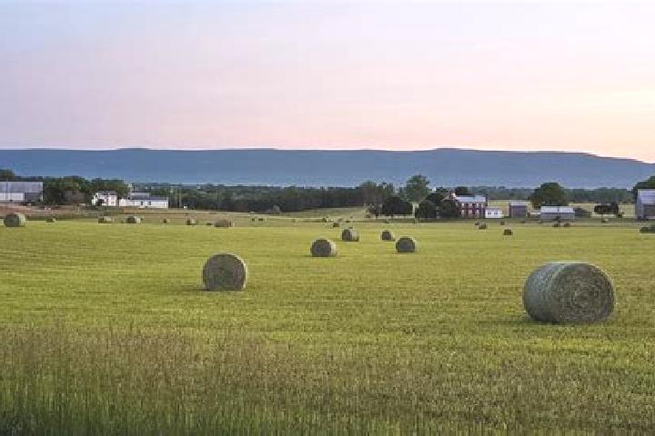 Escorts Shenandoah Farms, United States — Local Companions